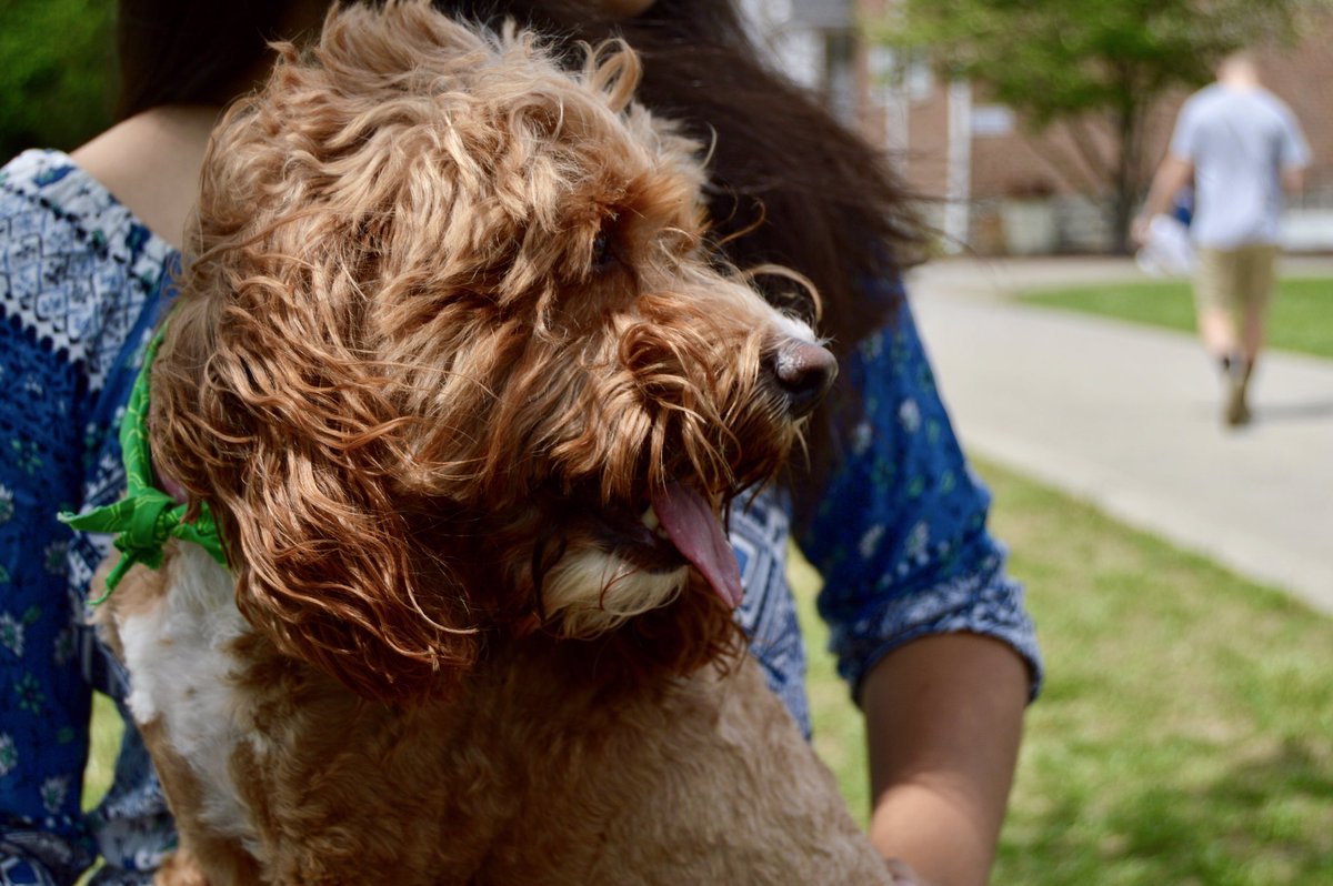 humansofLWC's tweet photo. "Bark." https://t.co/uKzwLgEAJI