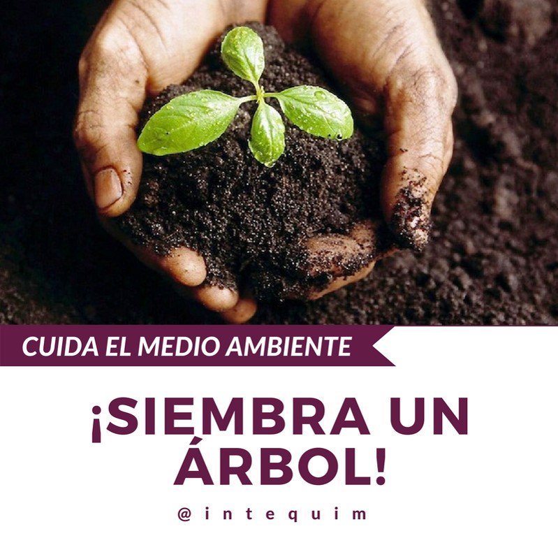 Intequim's tweet photo. Plantar árboles, ya sea en el jardín, en algún parque o buscar sociedades civiles que estén reforestando https://t.co/PYnPcNBLiP