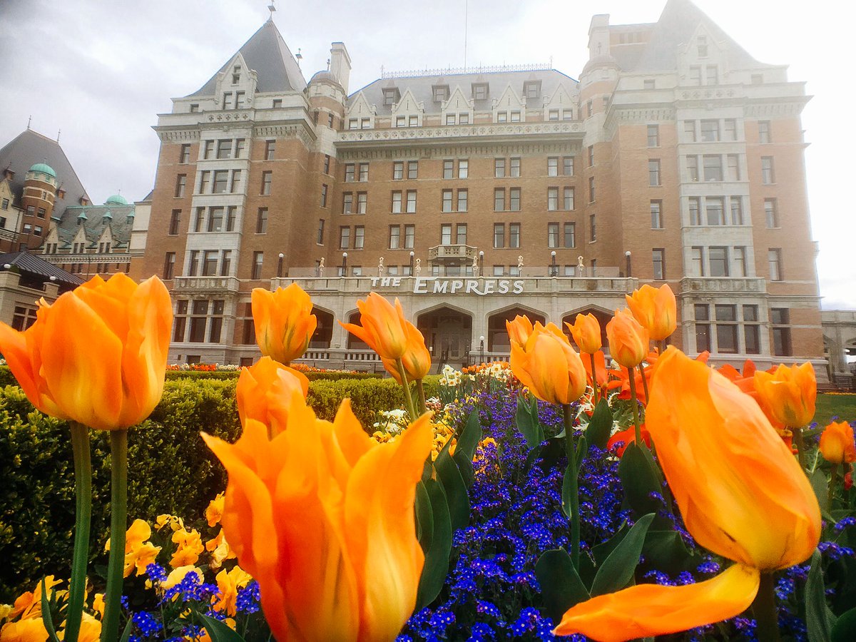FRSClipper's tweet photo. The @FairmontEmpress gardens are looking more &amp; more colorful each day! It's a can't-miss destination for springtime photos #ExploreVictoria https://t.co/NZ53QUVhy0