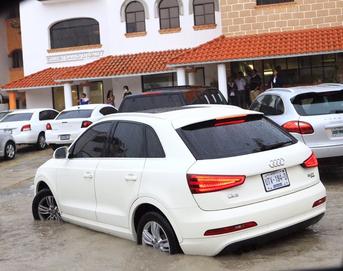 Ver imagen en Twitter