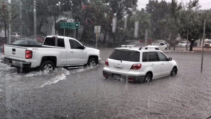 Ver imagen en Twitter