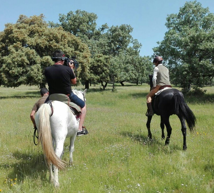 gataacaballo's tweet photo. Gracias @cextremadura por esta fantástica mañana espero impaciente ver la emisión.
@planvex @Turismo_DipCC @Extremadura_tur https://t.co/r01R7AoGGW