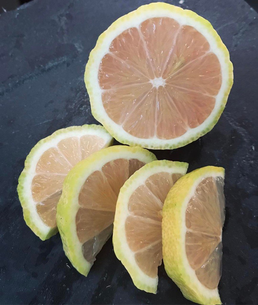 SpecialtyProd's tweet photo. ๐Pink Lemons! The cutest of the lemon family ๐ค they taste like tart pink lemonade โจ #pinklemons #specialtyproduce https://t.co/HCxZ9mKATu https://t.co/Hoptxz3tNf