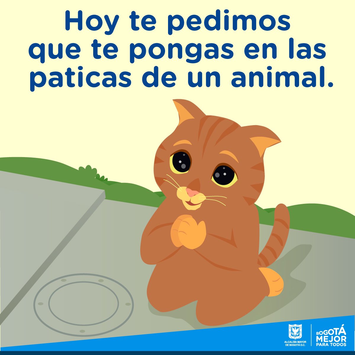 AnimalesBOG's tweet photo. #Atentos #ComisiónHacienda del @ConcejoDeBogota debate hoy la aprobación de los recursos para el Instituto de Protección Animal. 🐾💪🏻 https://t.co/nVwyhbffIk