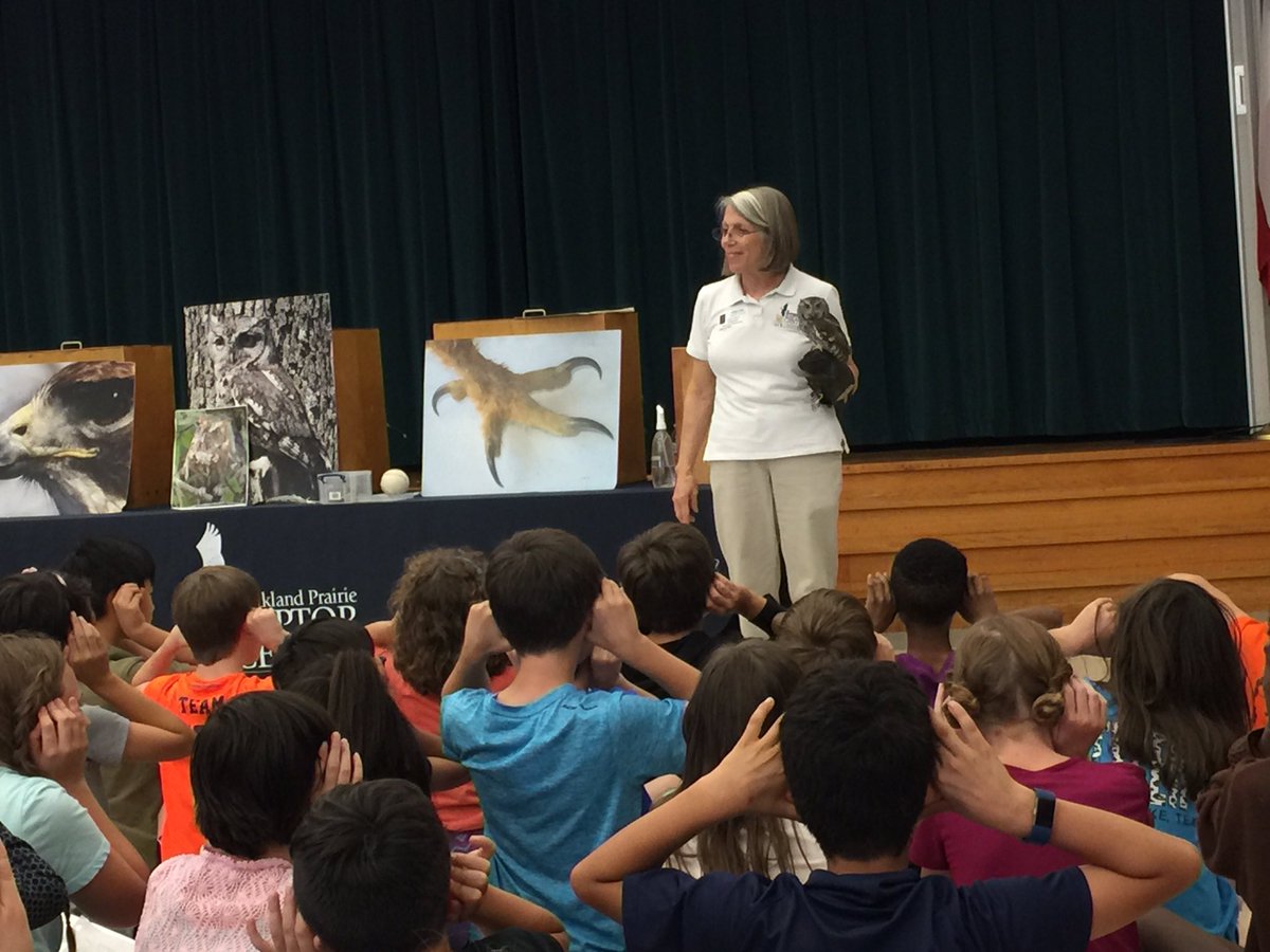 FullhartASPIRE5's tweet photo. Kids loving visit from Blackland Prairie Raptor Center. #ghes #aspire5 https://t.co/djTSi3LtUe