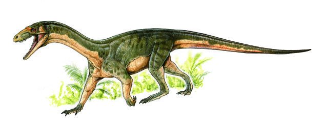 CaraSantaMaria's tweet photo. "After 84 years, scientists have finally unraveled the mystery of an early dino-cousin." #Teleocrater
https://t.co/P9wVFtqn7w https://t.co/p10tDiWJPw