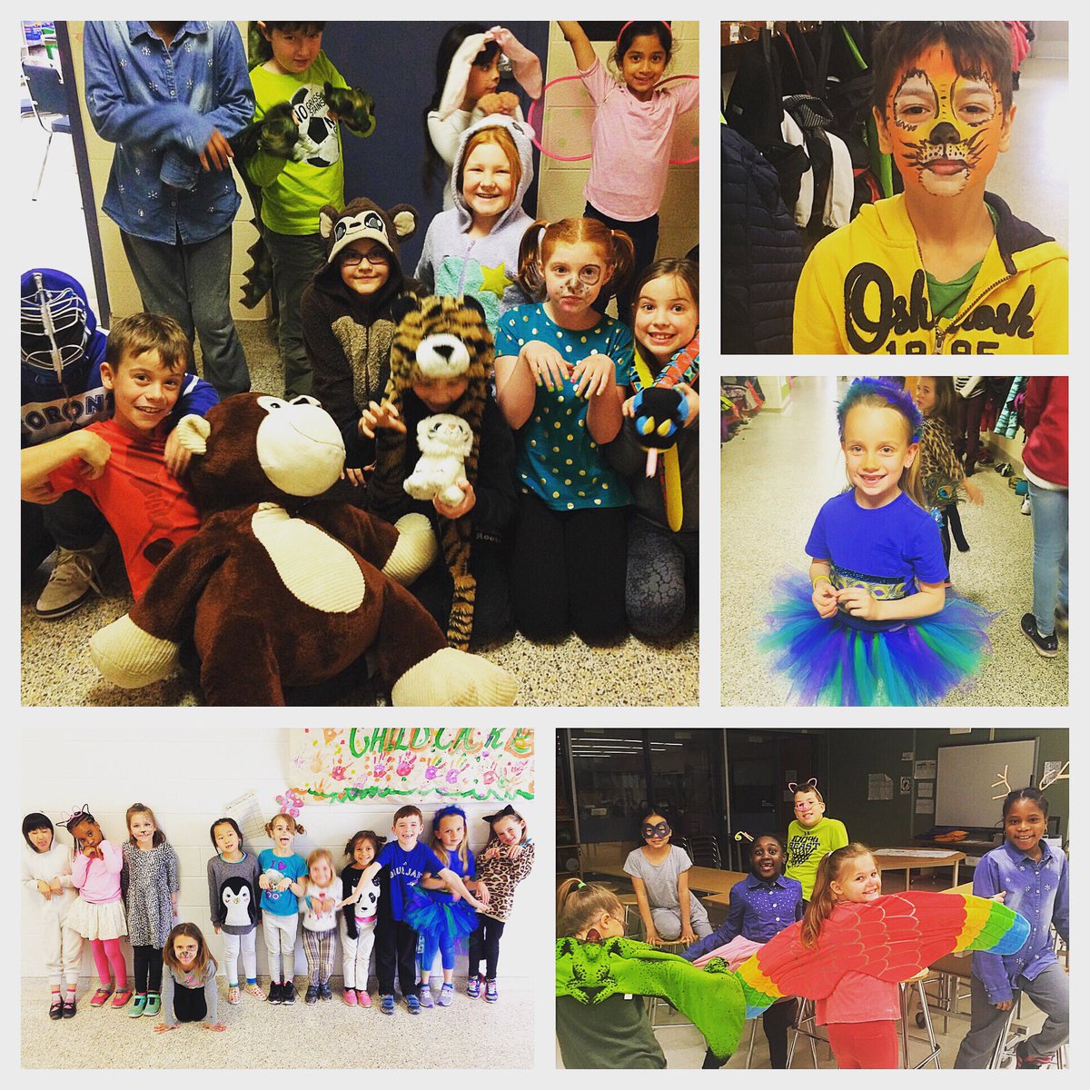 warnicaleaders's tweet photo. Our school has been invaded by the world's cutest animals. #WorldWildlifeDay @WarnicaPS Lions, tigers &amp; bears oh my! 🦁🐯🐻 #spiritday https://t.co/rLmyWagIyQ