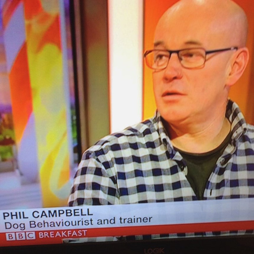 K9servicesplus's tweet image. Old fat head on BBC BREAKFAST TV #dogtraining #dogbehaviour #dogtrainingmanchester #dogsocialisation #dogsatwork