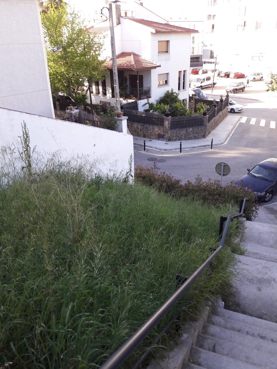 Aixi estan d'abandonats estan els Jardinets de les escales a <a href="/vserraparera/">Veïns Serraparera</a>  <a href="/carlesescola78/">Carles Escolà Sánchez #L'EscolaEnCatalà</a> <a href="/ERCerdanyola/">ERC Cerdanyola</a> <a href="/Cerdanyola/">Cerdanyola</a> #Cerdanyola #20aprile