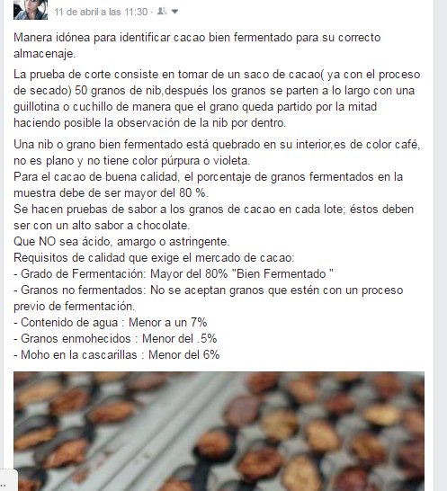 Bock66's tweet photo. Manera idónea para identificar #cacao bien fermentado para su correcto almacenaje.
#ForeverBock #Chocolate https://t.co/2I7s42zuFT