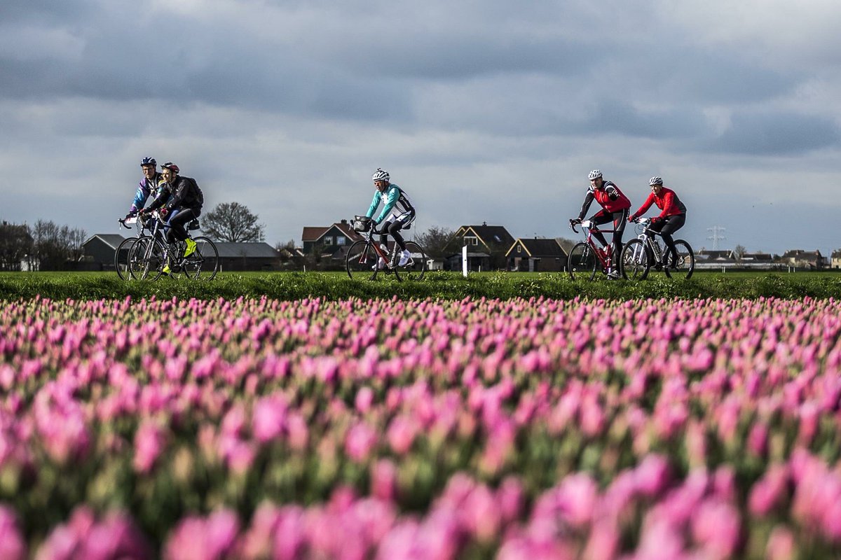 Zaterdag 22 april is de 45e <a href="/RondevanNH/">Ronde van N-H</a>. <a href="/KasteelRadboud/">Kasteel Radboud</a> is voor de 5e keer stempelpost. Mooie plek voor koffie en appeltaart!