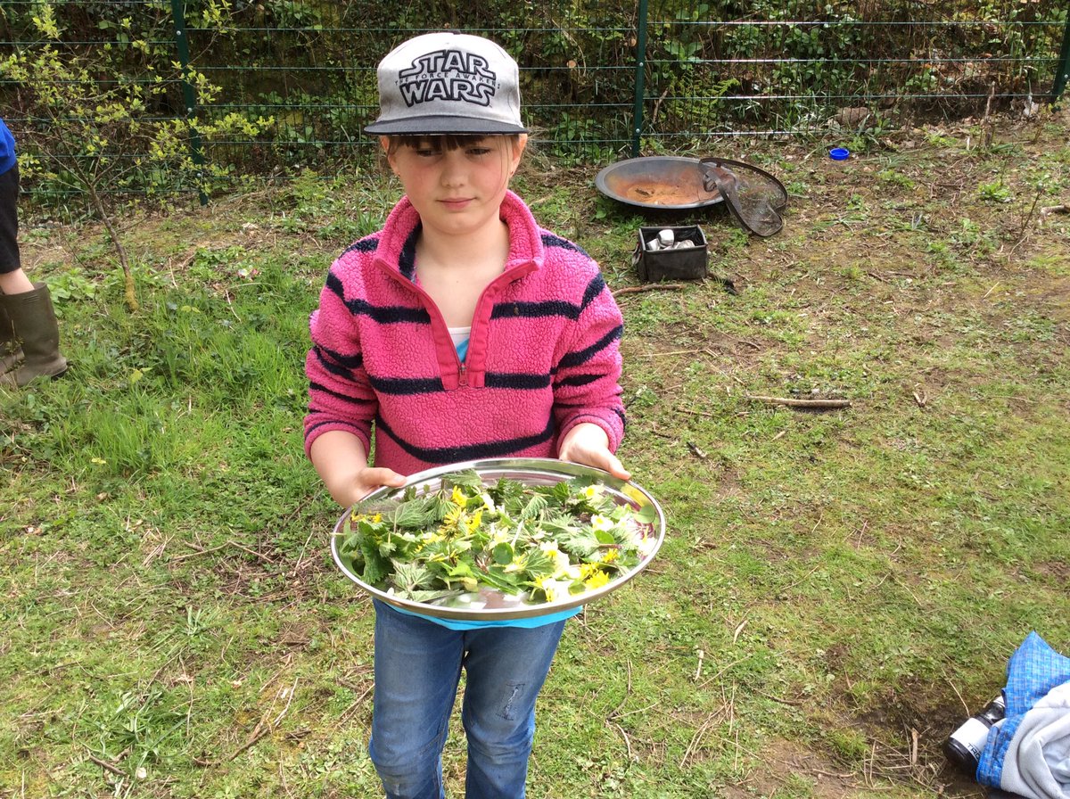 Treverbyn Year 5 tweet media