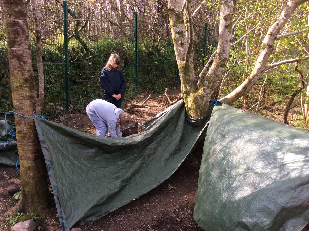 Treverbyn Year 5 tweet media