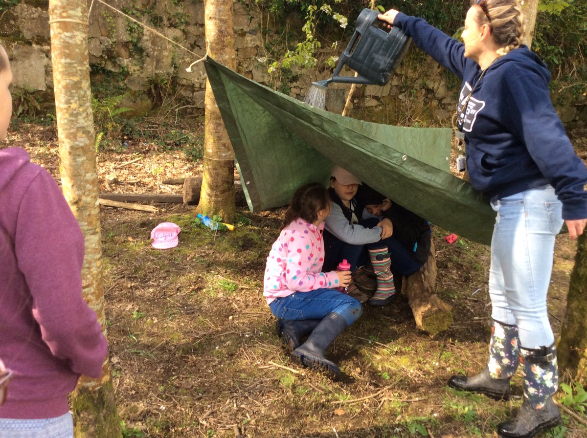 Treverbyn Year 5 tweet media