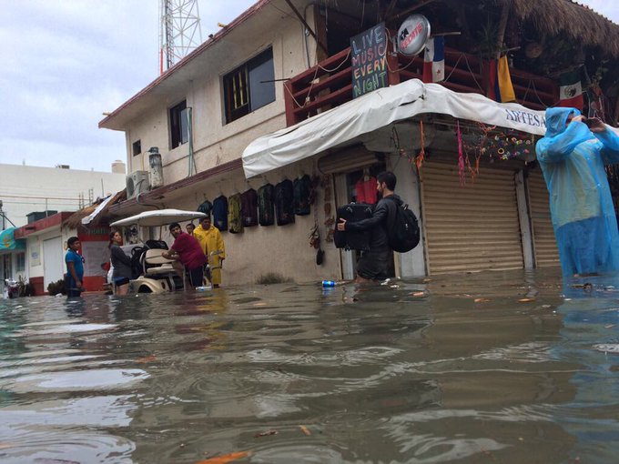 Ver imagen en Twitter