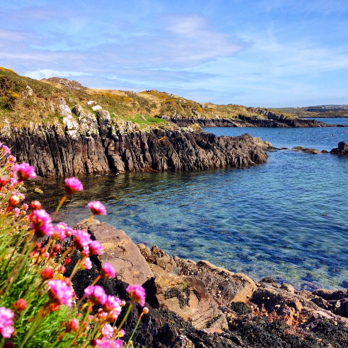 fenderender's tweet photo. Beautiful day #turkhead #westcork @wildatlanticway @walkhikeireland @tourismwestcork https://t.co/V6AG0sgv1w