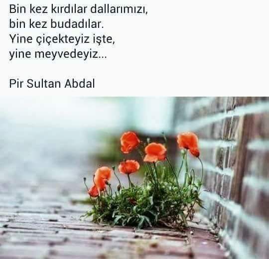 Ciceksiz bir dünya koru ot gibidir...