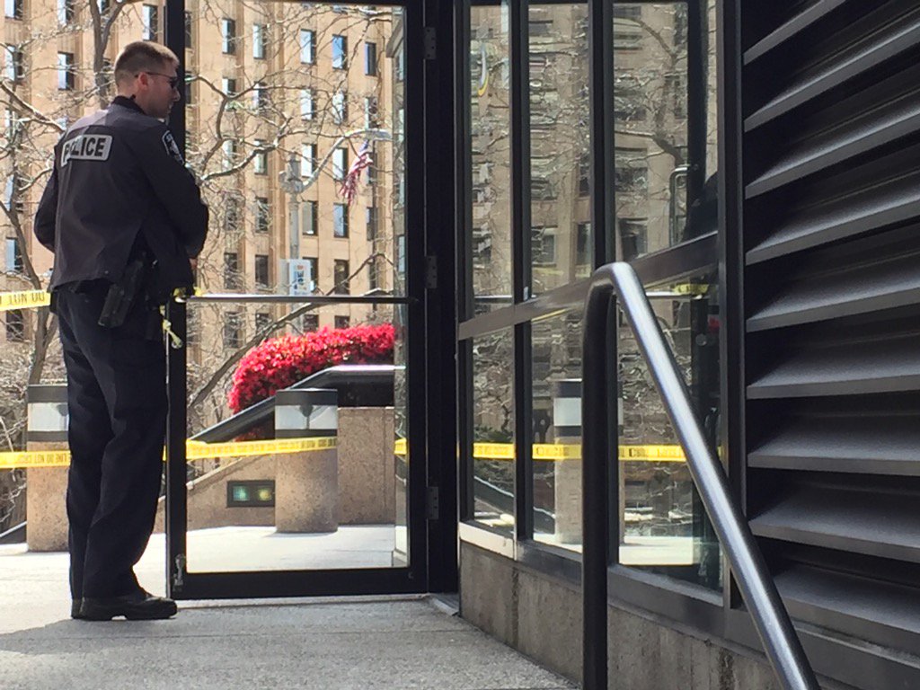 View image on Twitter