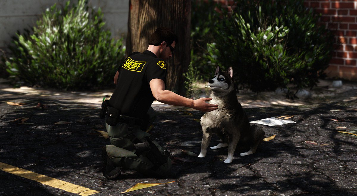 joinLSSD's tweet photo. Our k9 handlers take home their dogs every night, they become part of the family as well as their partner at work. https://t.co/1KkJo6zFLG https://t.co/1OxcNOWTd2