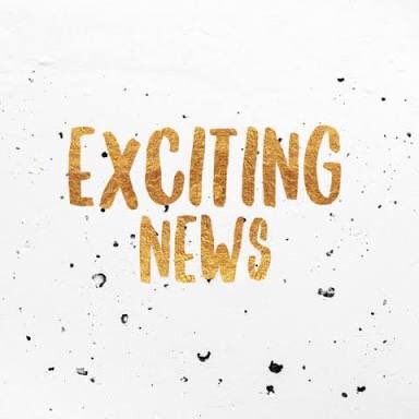 sharkettesDBN's tweet photo. Coming soon! Watch this space 🎉🇿🇦👌🏻 https://t.co/aitoNVqjjK