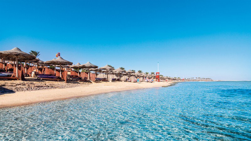 artistaxcaso1's tweet photo. #VERACLUB #EMERALDLAGOON #MarsaAlam #EGITTO #HELEVIRTURISMO #VACANZA #MARE #SOLEhttps://t.co/vDRiaU95QR… https://t.co/JdFY24Lhhc https://t.co/2UuL0KFsHj