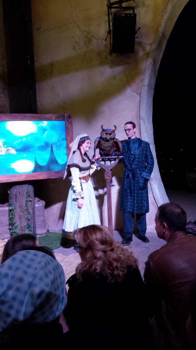 LarsDavids's tweet photo. Wat een geweldige première was het weer. Efteling Academy 8. @LeisureAcademy @NHTV  @Fontys https://t.co/UQxn5OUrEO