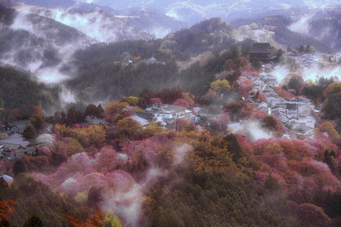 幻想的のtwitterイラスト検索結果 古い順