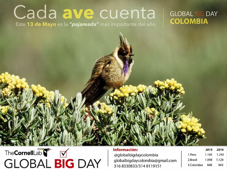 AmaliaVsquez3's tweet image. Colombia por el campeonato mundial de avistamiento aves #GlobalBigDay 
Este 13 de mayo todos a pajarear y subir registros a la app eBird