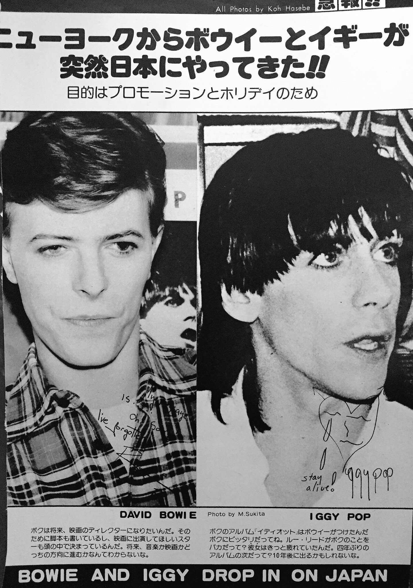 Gc-134/週刊平凡パンチ 5月16日号 1977年 特集 デビッド・ボウイ
