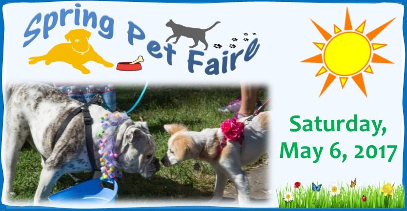 The Spring Pet Faire is around the corner! Join us for a fun-filled day at Memorial Park in #upland! friendsofuplandanimalshelter.org/spring-pet-fai… for info.