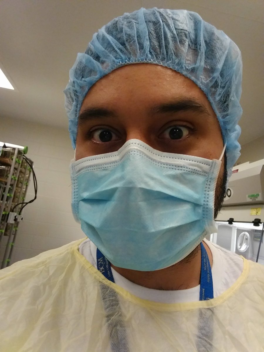 Diary of a fat mouse tweet media