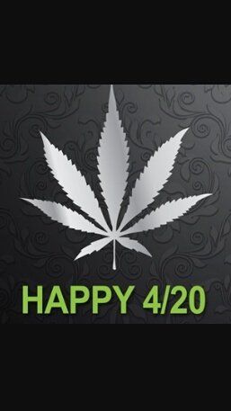 KatoPass0uts's tweet photo. Kato is fueled by booze; but today is all about going green. #Happy420 https://t.co/PSYgKyThDc