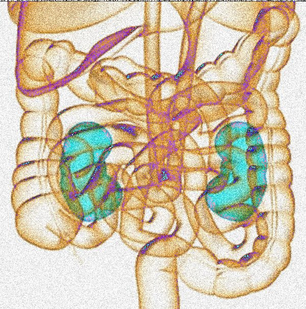 digitaljournal's tweet photo. Supplement could reduce kidney damage linked to genetic mutations https://t.co/gYpT3VOpuW https://t.co/ioEldRfXxS
