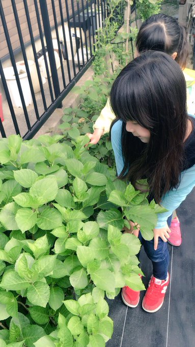 Twitterのコスプレ画像12