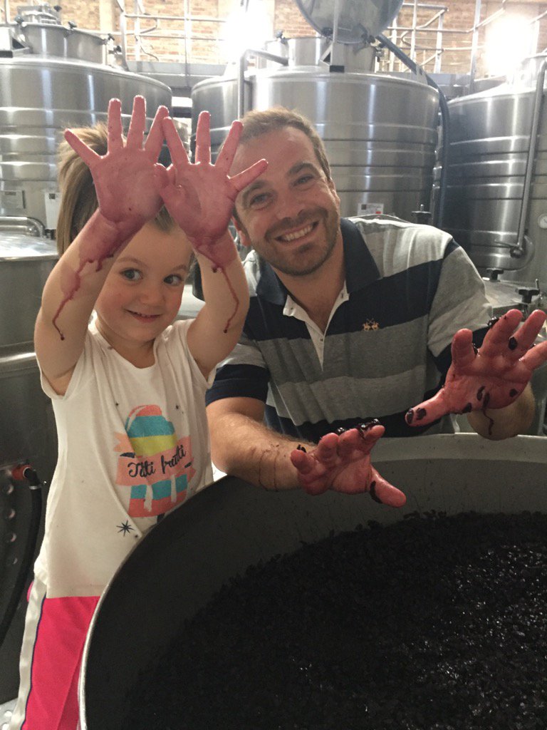 Haciendo el mejor vino 2017