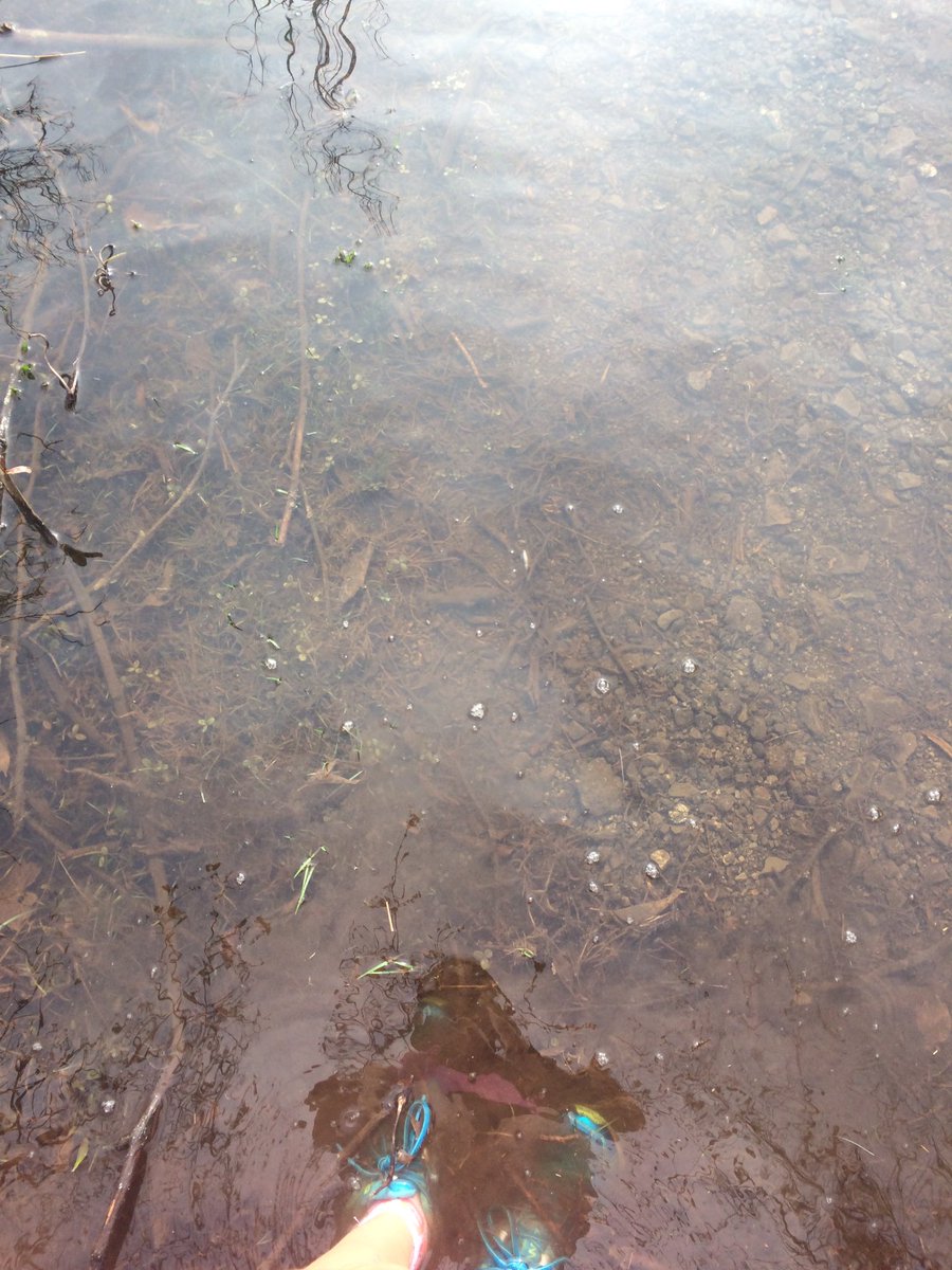 anna_kostar's tweet photo. Trail running in rochester in April: @MileSplitNY https://t.co/lo2f6rjOih