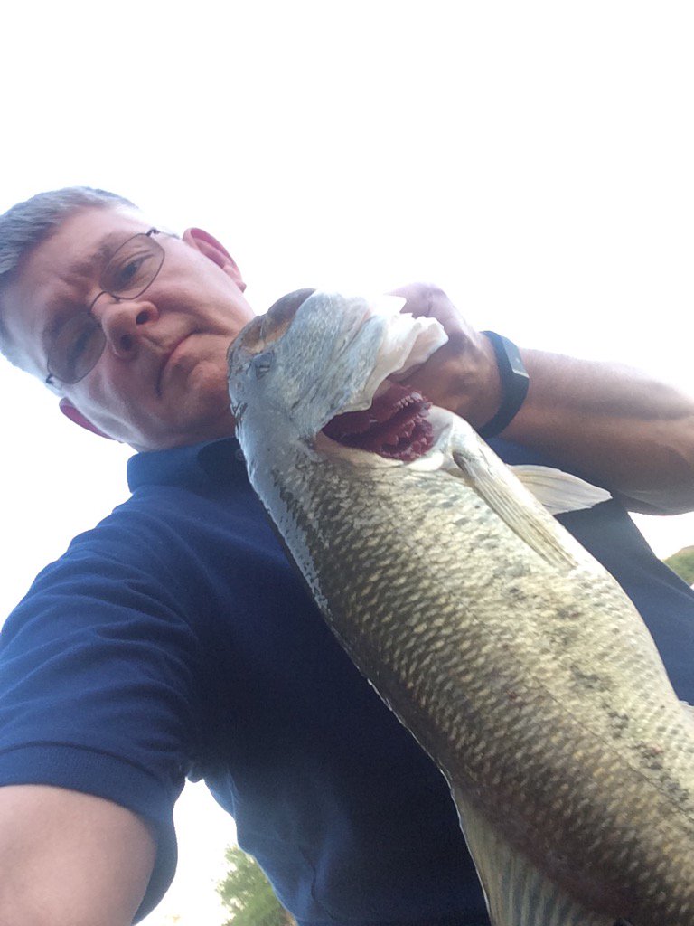 Afternoon at the pond