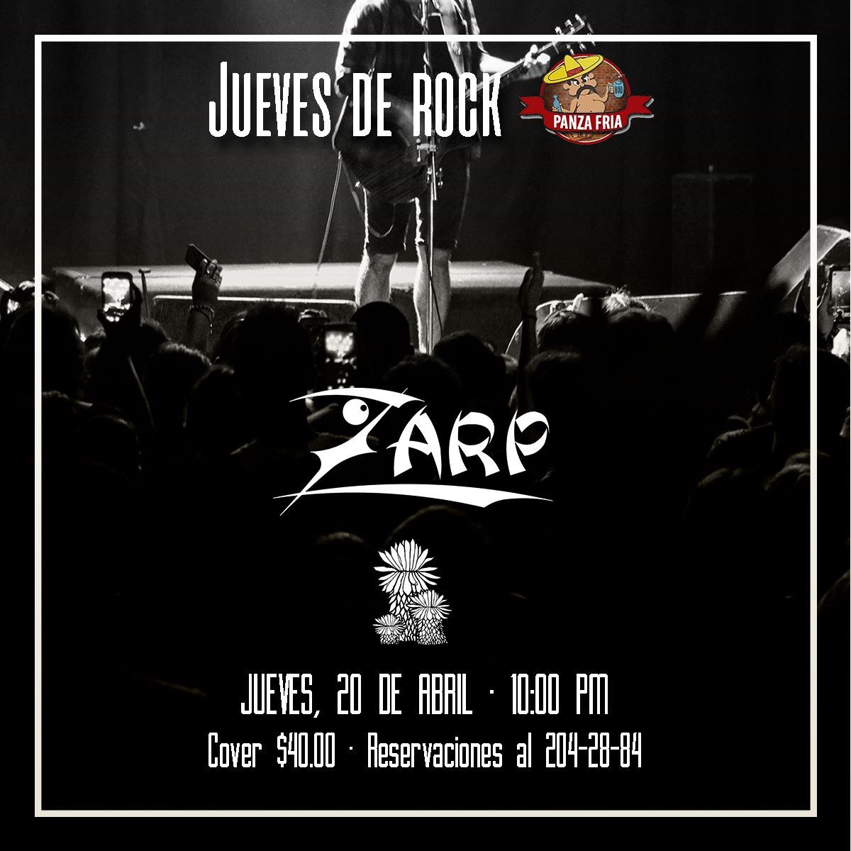 gamato18's tweet photo. Zarp en México, esta noche gran concierto https://t.co/RAuoeJQKGD