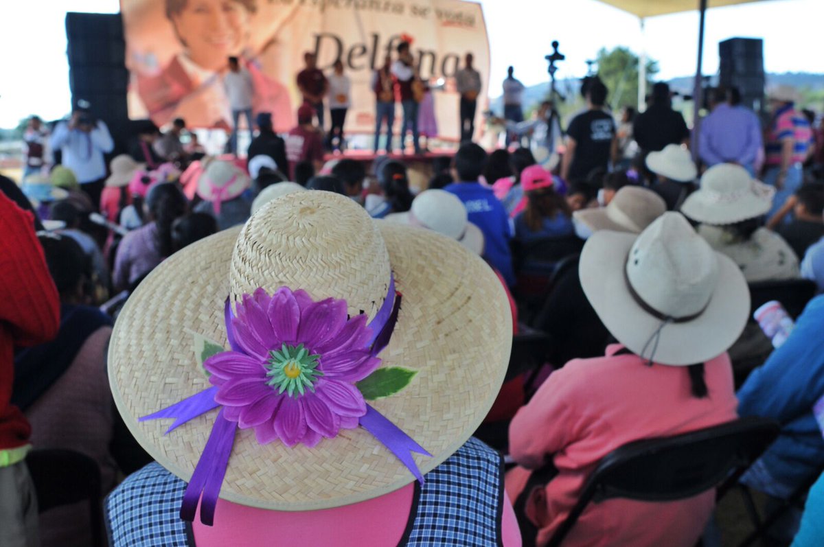 Delfina Gómez A. tweet media