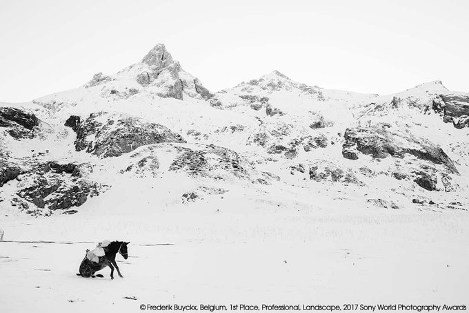 fotodng's tweet photo. Frederik Buyckx fotógrafo del año en los #SWPA2017 ganador absoluto de esta edición https://t.co/T11IgrQoOD