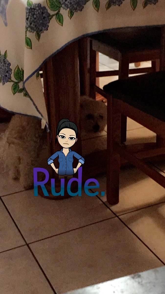 azevedo_helen's tweet photo. When your dog tricks you to get him water & then steals your sandwich! #Rolo #GoodTrick #FoolMeTwice #ShameOnMe ๐ถ๐ฅ๐ https://t.co/B6l6RGcRlh