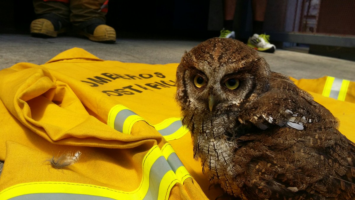 ¡Feliz noche Costa Rica!