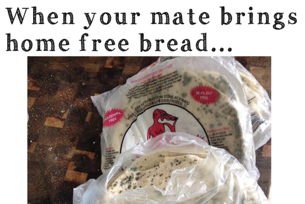 lewis_macmaster's tweet photo. I think that's off mate #noidontthinkitsartisan 😩😂 https://t.co/n57ynt9IGT