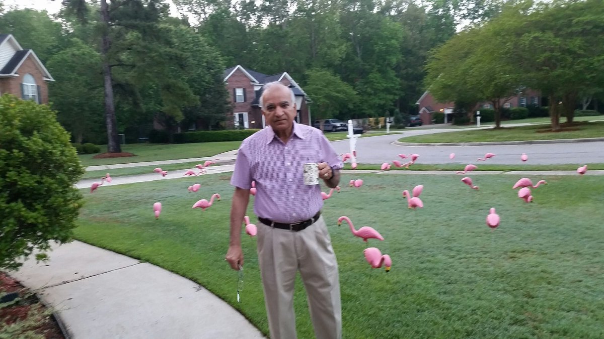 khandamon's tweet image. Here's a picture of my dad with fake plastic flamingos in our yard.