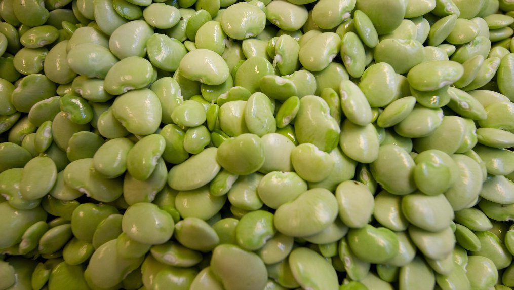 This just in It is National Lima Bean Respect Day; arguably, the holiday lives in the shadow of
