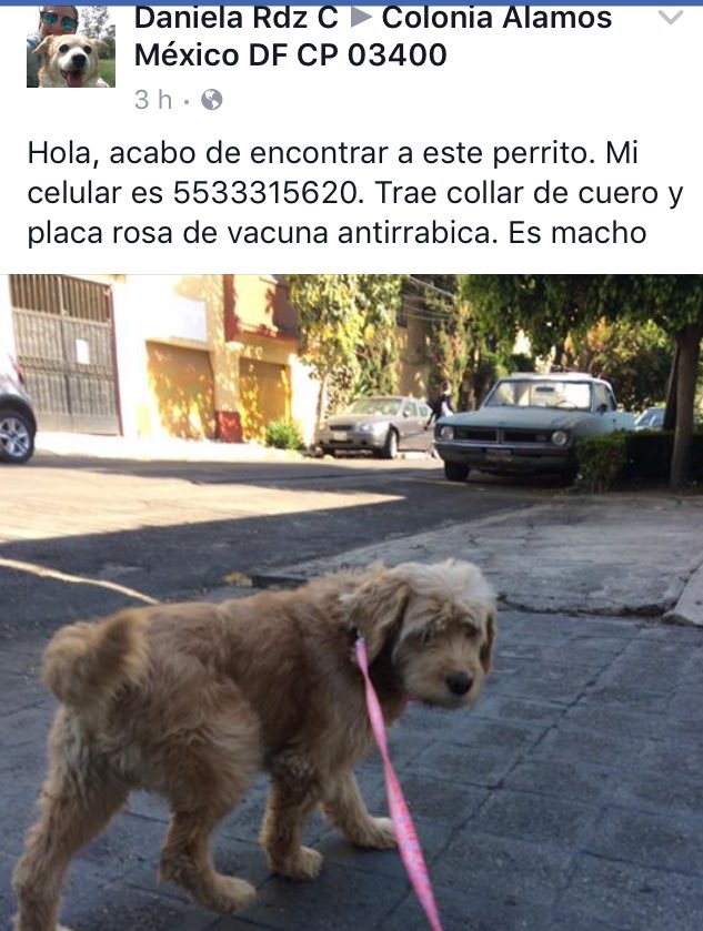 Nohemí Miranda tweet media