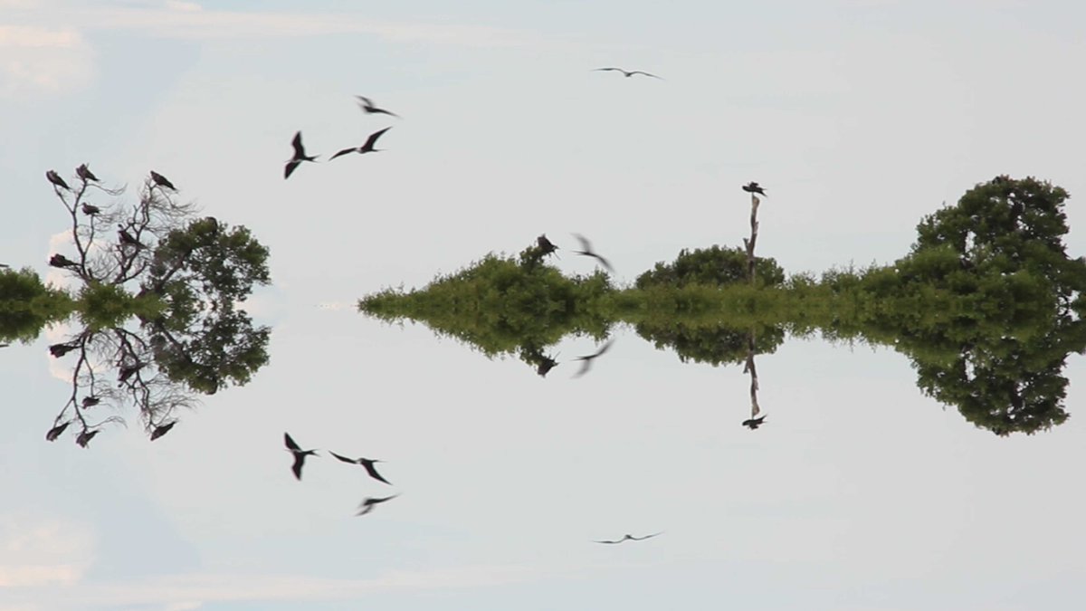 mayspacesyd's tweet photo. 📷: Anna Glynn, Above and Below, 2016
Tomorrow is the last day to catch this film as part of #IntroducingV
https://t.co/N44YayivHI https://t.co/M6jMM02OOv
