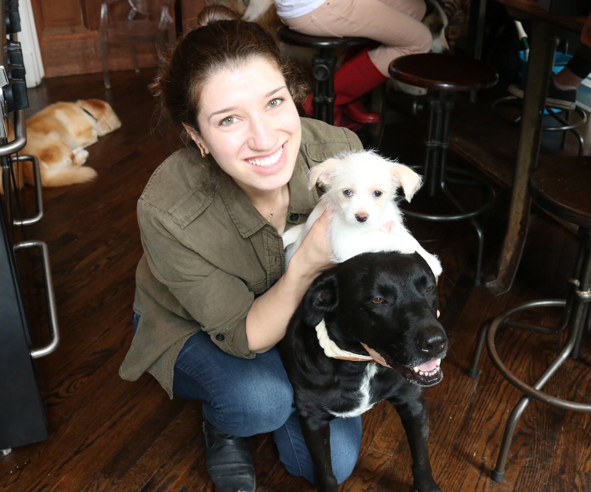 Dog_Matchmaker's tweet image. Such a fun visit to @foundmyanimal today to see the pups! @FosterDogsNYC