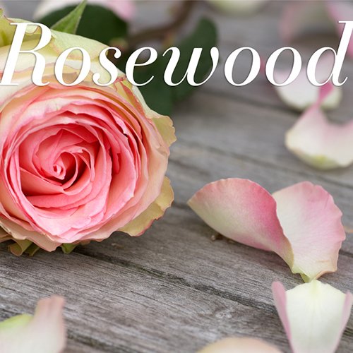AAmenities's tweet photo. Rosewood drives away sadness.Chamomile keeps the body in a state of good health.Tangerine helps calming.Marjoram induces relaxing effect. https://t.co/C6mJDbBKwa