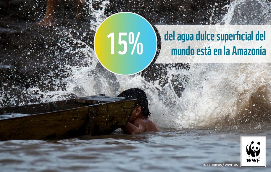 EFEverde's tweet photo. Estrenamos espacio sobre la #Amazonía en la blogosfera de @efeverde con @WWF_LAC ¿te lo vas a perder? https://t.co/h1UW8GRjTm https://t.co/vNzwRuOQ7W